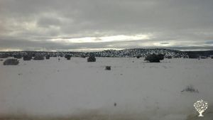 Homestead and family farm in the high plains of NM
