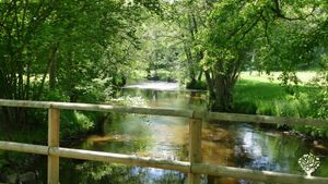 Le petit pont qui mène �� Priroda