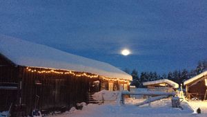 Small organic farm in the home of Swedish Lapland