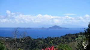 Ferme Biologique dans la verdure de Gourbeyre en Guadeloupe