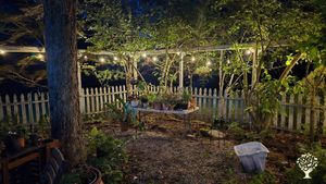Our front yard at night