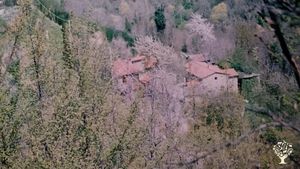 Azienda agricola