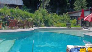 Small fruit and veggi farm with a small nursery on Sauvie island