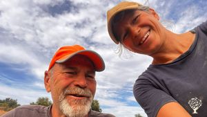 Transformational Organic Olive Farm