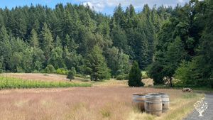 Organic farm and vineyard located in the hills of the Willamette Valley in Oregon