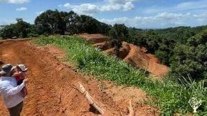 Small scale permaculture farm with budding sustainability and agriculture focused community.