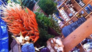 Growing organic vegetables in the northern Sweden