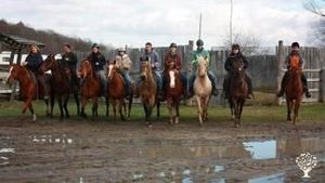 Destination agrotouristique, Ferme équestre