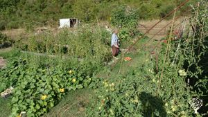 Destinazione Agrituristica