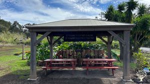 You pick flower farm