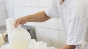 Agritourism Destination, Farm, Family farm