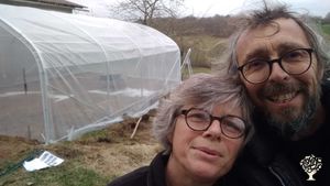 Production de plantes aromatiques et médicinales certifiées bio