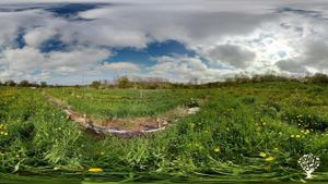 Homestead, Hobby Farm, Fruit tree nursery, Orchard, Farm, Woodlot, Diversified farm