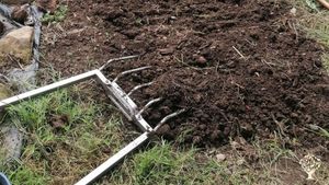 Agricultura  circular, sostenible, enraizada en el territorio. Ganadería ecológica de Xaldas.