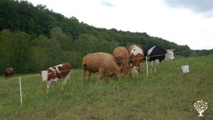 Biobauernhof mit vielen Tieren