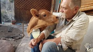 10,000 acre cattle ranch in far Eastern Arizona