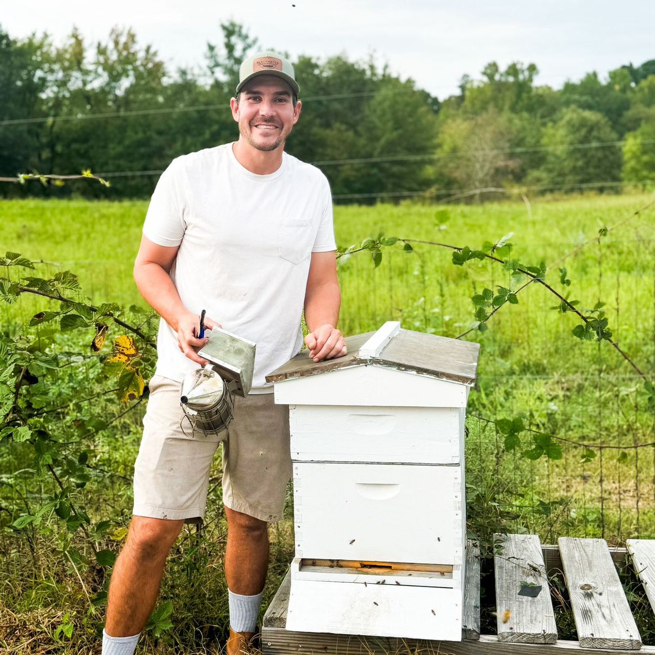 Small farm featuring an apiary, aviary, blueberries, blackberries, pigs ...