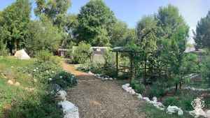 One-acre homestead and working flower farm/Floral design studio with a pollinator garden and orchard