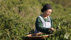 <JN134>쉼과 치유가 함께하는 농장/A Farm of Rest and Healing