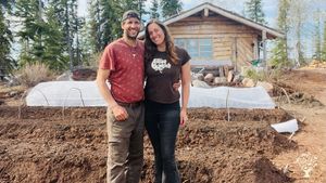 Cabin and hügelkultur beds.
