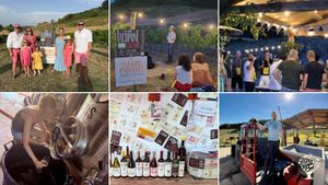 Organic independent winery: vineyard, cellar, tastings & lifestyle in Umbria, Italy