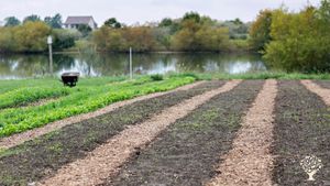 Diversified, regenerative agriculture farm with animals, orchards, and Farm Share program