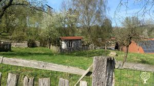 Baumarkt gegen das Verschwinden der Dinge