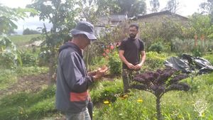 En loma linda cultivamos alimentos orgánicos y agroecológicos para llevar a las familias de Bogotá.