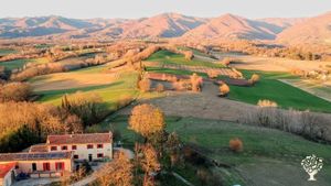Comunità di  famiglie