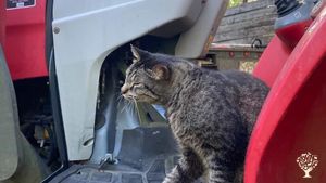 Reggie, Jr. on Massey Ferguson