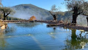 Our natural swimming pool