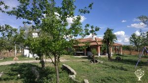The main home