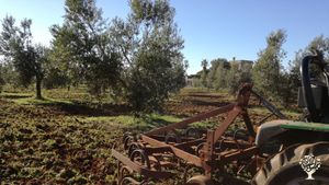 Agricampeggio Terra di Moro