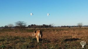 Granja Agroecológica Biodinámica