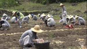 <JN_135> 산 속 명상과 농장/A Meditative Retreat in the Mountains