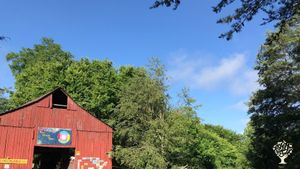 Diversified small farm near the foothills of the Great Smoky Mountains