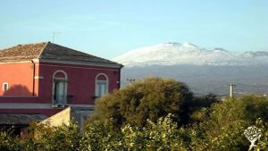 Azienda agricola naturale nella Valle del Simeto