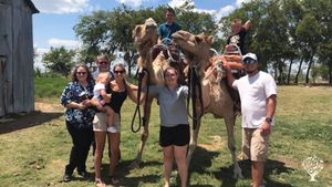 Camel farm (!) 🐪 in central Texas near Waco