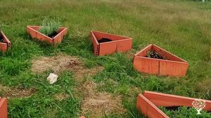 Flower Garden Farm, Orchard, Farm, Family farm