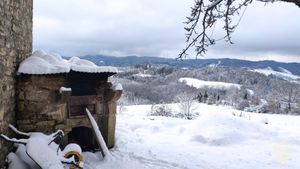 Ferme collective paysanne diversifiée et militante
