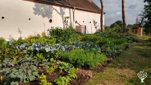 Family home and garden - rural, Eco Retreat, Orchard