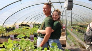 Organic and small scale vegetable farm