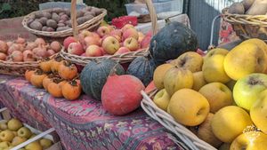 Azienda orticola rigenerativa nelle Alpi