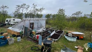 planting and transplanting is fun