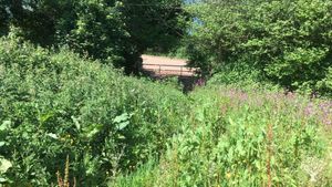 Agritourism, market garden, orchard, farm