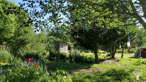 Our pond with views of the chicken coop and birthing hut.