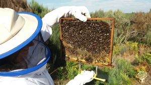 Organic farming and nature restoration project in the depths of Serra da Estrela