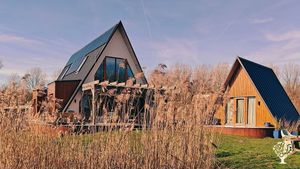 Join Our Family Homestead in the Dutch Countryside