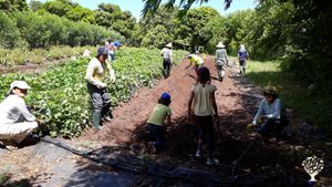 Verger biologique et potager partagé