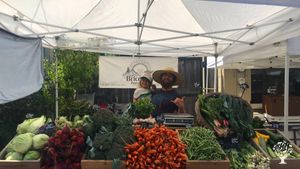 Off-grid market veggie and award winning legal regenerative cannabis farm in the redwood country